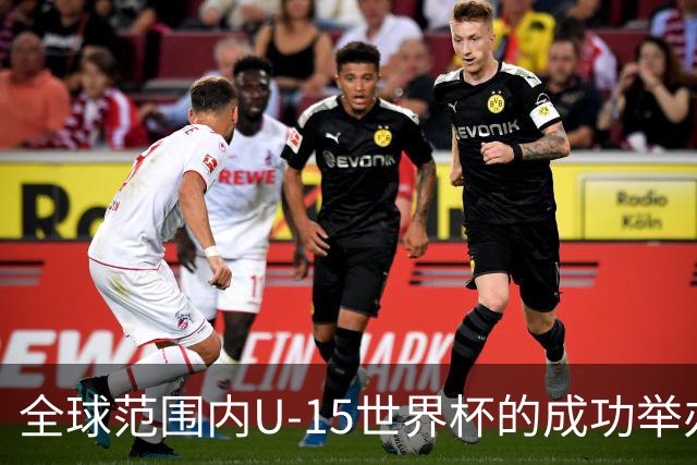 全球范围内U-15世界杯的成功举办与其深远意义